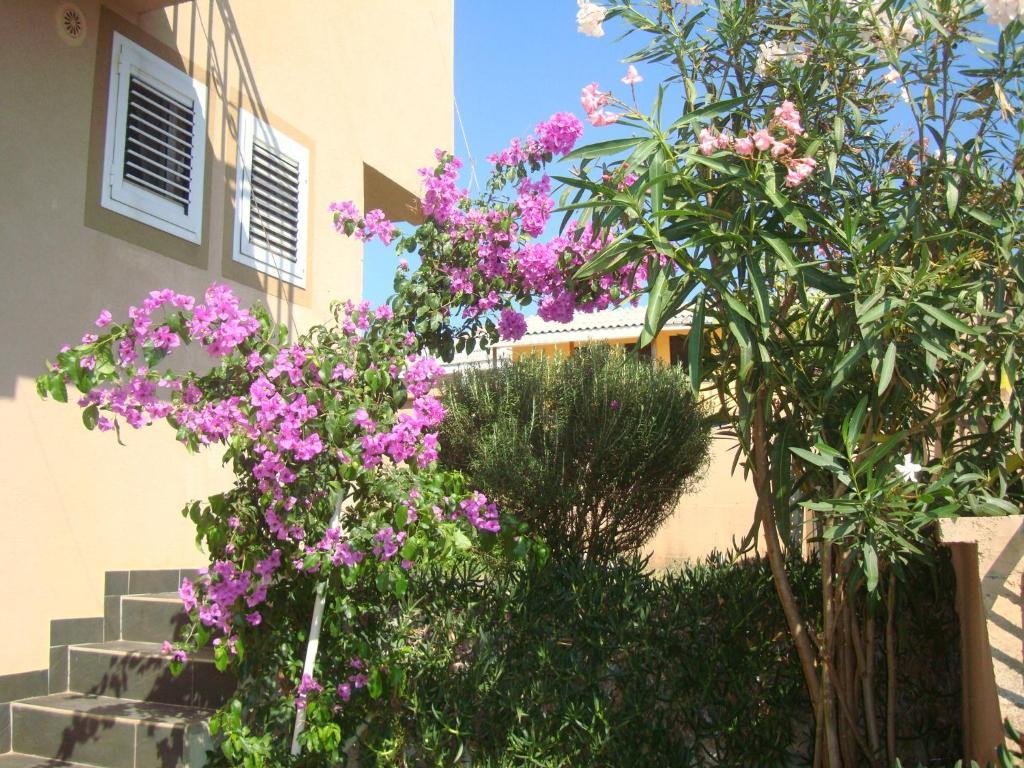 Apartments Mila Krimovica Ruang foto